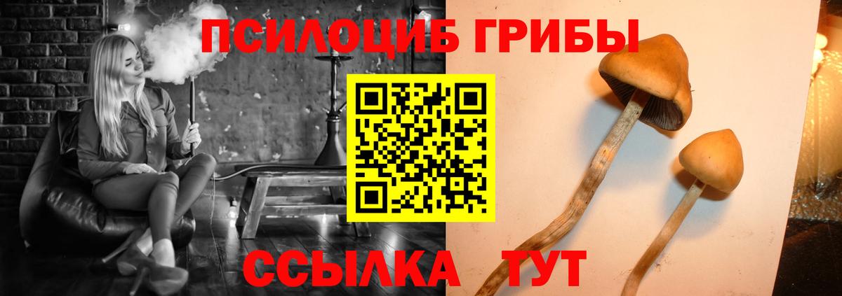 Псилоцибиновые грибы прущие грибы  Вход с VPN  Феодосия 